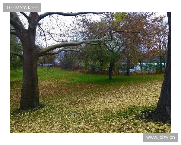 垃圾狗:拉斯维加斯球队球迷根基源自欧洲